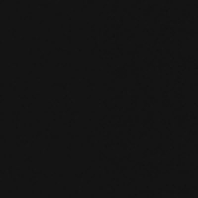 RAL 9005